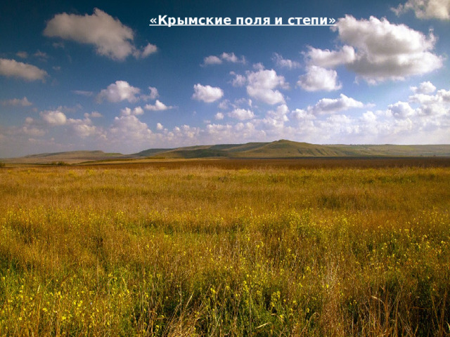 «Крымские поля и степи»  