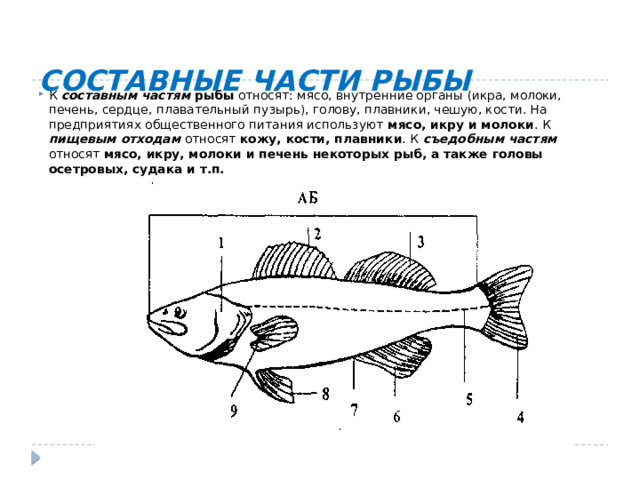 Части рыбы