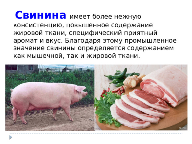   Свинина  имеет более нежную консистенцию, повышенное содержание жировой ткани, специфический приятный аромат и вкус. Благодаря этому промышленное значение свинины определяется содержанием как мышечной, так и жировой ткани. 