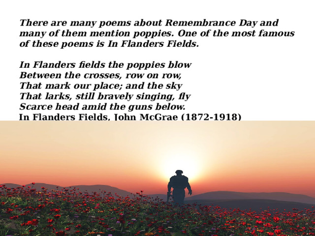 There are many poems about Remembrance Day and many of them mention poppies. One of the most famous of these poems is In Flanders Fields.   In Flanders fields the poppies blow  Between the crosses, row on row,  That mark our place; and the sky  That larks, still bravely singing, fly  Scarce head amid the guns below.  In Flanders Fields, John McGrae (1872-1918)    