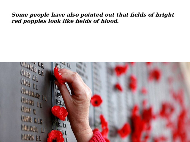 Some people have also pointed out that fields of bright red poppies look like fields of blood. 