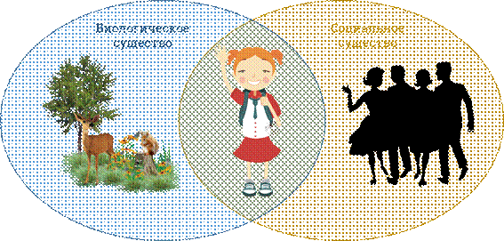 Биосоциальное Существо