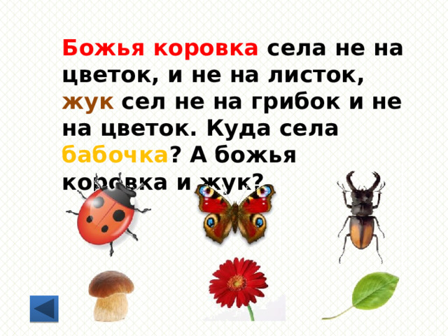 Божья коровка села не на цветок, и не на листок, жук сел не на грибок и не на цветок. Куда села бабочка ? А божья коровка и жук? 