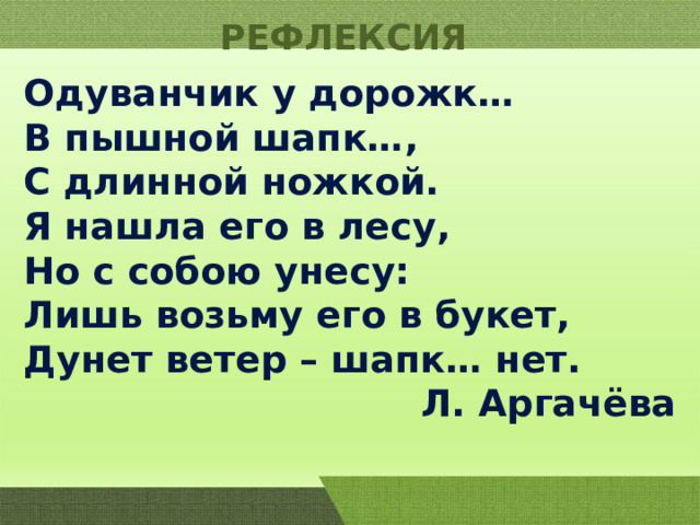 Одуванчик у дорожки в пышной шапке падежи. Одуванчики рефлексия.