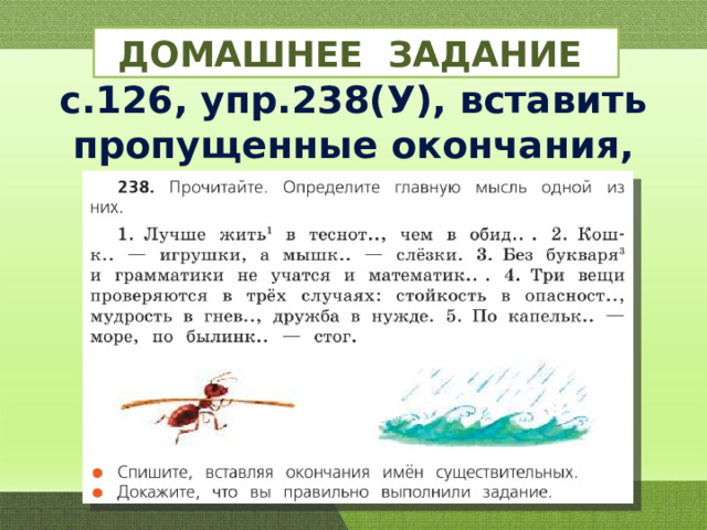 ДОМАШНЕЕ ЗАДАНИЕ с.126, упр.238(У), вставить пропущенные окончания, разборы. 