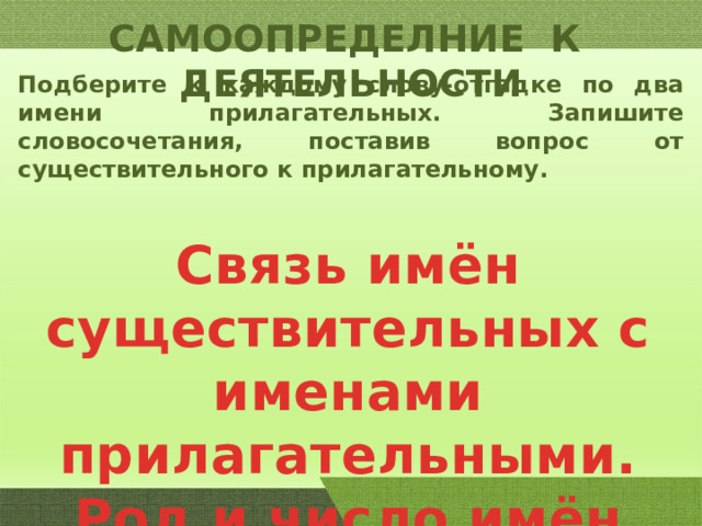 САМООПРЕДЕЛНИЕ К ДЕЯТЕЛЬНОСТИ Подберите к каждому слову-отгадке по два имени прилагательных. Запишите словосочетания, поставив вопрос от существительного к прилагательному. Связь имён существительных с именами прилагательными. Род и число имён прилагательных 