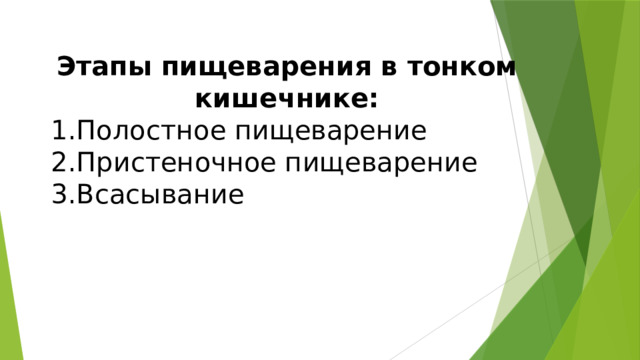 Этапы пищеварения в тонком кишечнике: Полостное пищеварение Пристеночное пищеварение Всасывание 