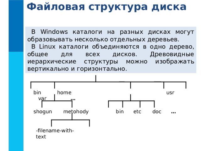 Файловая структура диска В Windows каталоги на разных дисках могут  образовывать несколько отдельных деревьев. В Linux каталоги объединяются в одно  дерево, общее для всех дисков. Древовидные иерархические структуры можно изображать вертикально и  горизонтально. bin home  usr var   …  shogun metohody bin etc doc …  -filename-with- text
