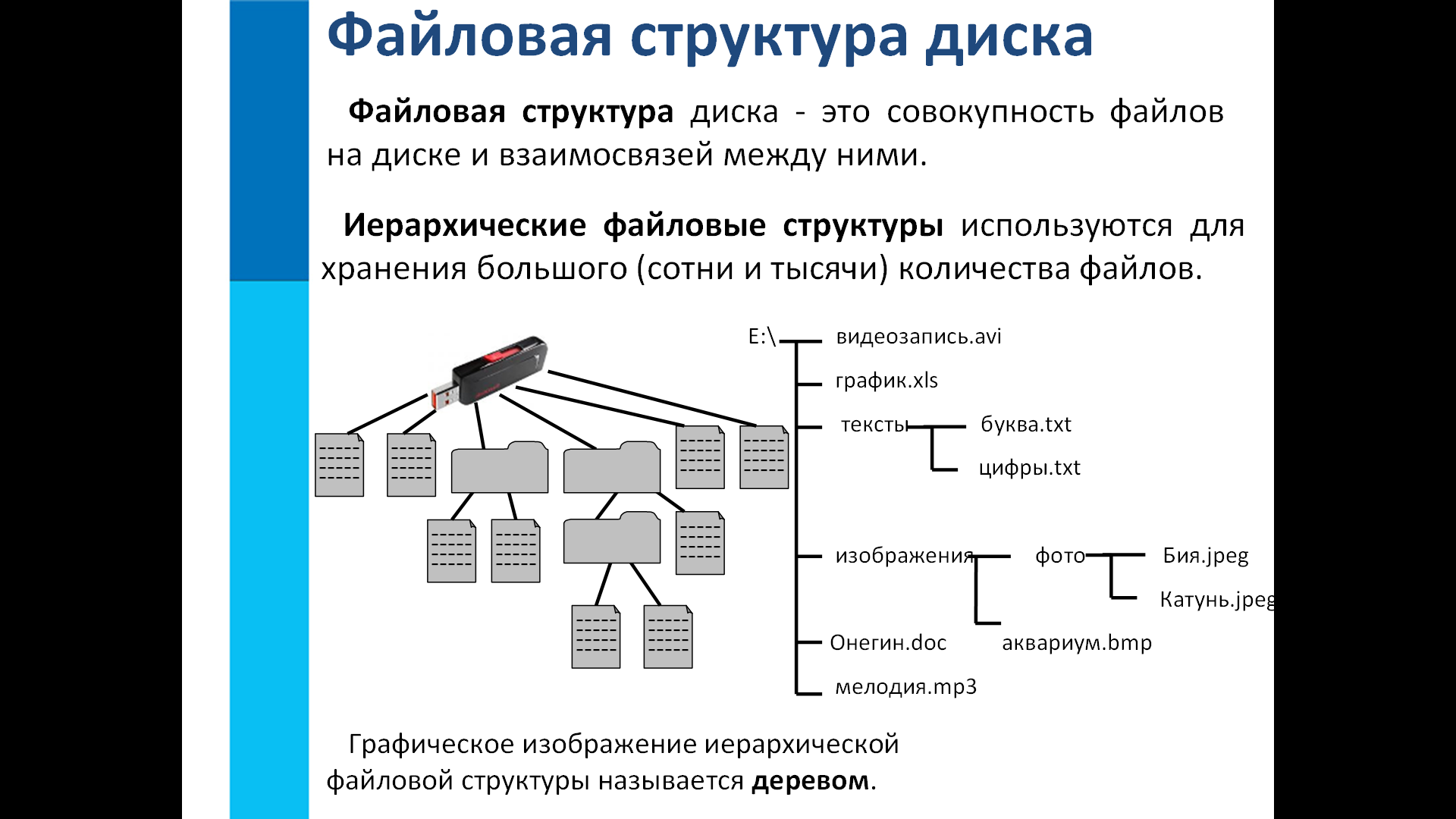 Графическое изображение файловой структуры называется. Файловая система в виде дерева. Файлы и файловые структуры 7 класс конспект. Файловая структура web-проекта. Задачи на тему файлы и файловые структуры 7 класс.