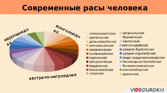 Современные расы человека     монголоидная австрало-негроидная европеоидная 