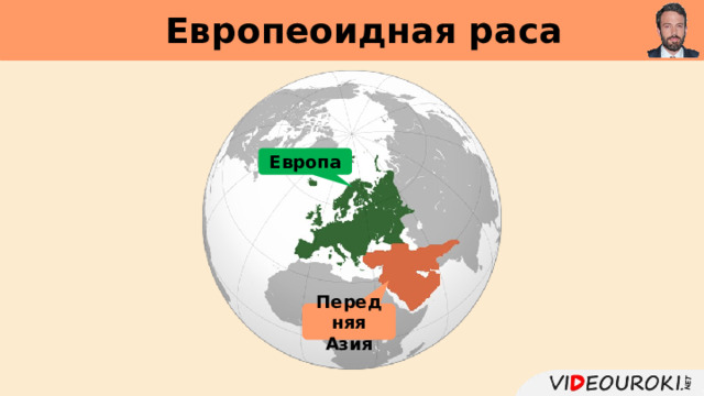 Европеоидная раса     Европа Передняя Азия 