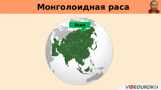 Монголоидная раса     Азия Европа Передняя Азия 