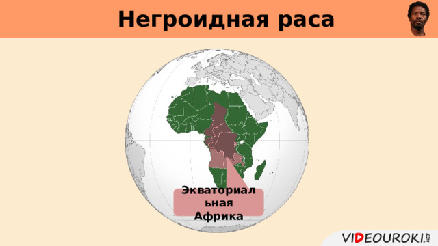 Негроидная раса     Экваториальная Африка 