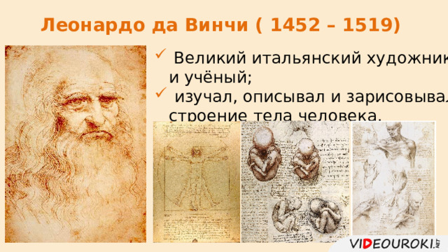 Леонардо да Винчи ( 1452 – 1519)  Великий итальянский художник и учёный;  изучал, описывал и зарисовывал строение тела человека.  