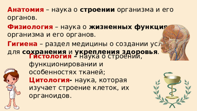 Анатомия – наука о строении организма и его органов. Физиология – наука о жизненных функциях организма и его органов. Гигиена – раздел медицины о создании условий для сохранения и укрепления здоровья . Гистология – наука о строении, функционировании и особенностях тканей; Цитология - наука, которая изучает строение клеток, их органоидов. 