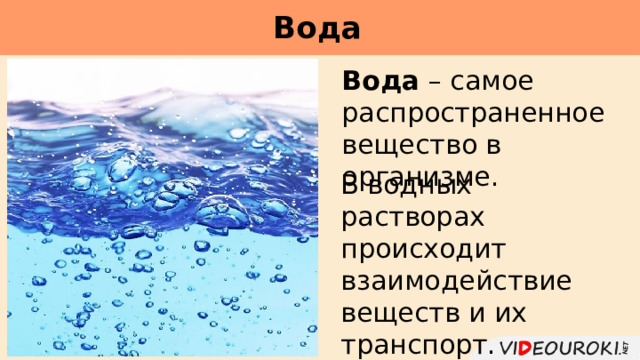 Самое распространенное вещество живых организмов. Вода самое распространенное вещество на земле. . Вода - одно из самых распространенных веществ на земле.