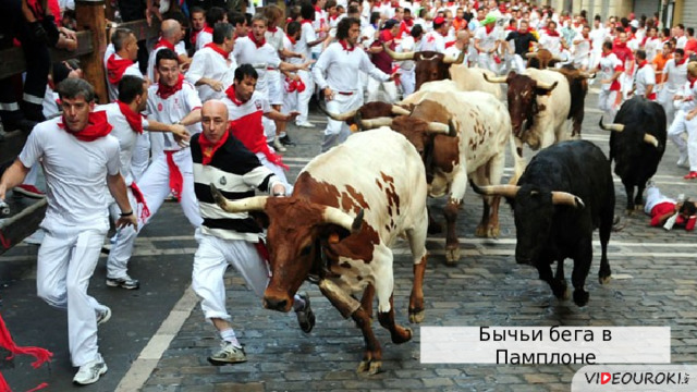 Бычьи бега в Памплоне  