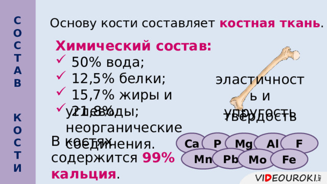  Основу кости составляет костная ткань . С О С Т А В  Химический состав:  50% вода;  12,5% белки;  15,7% жиры и углеводы; эластичность и упругость  21,8% неорганические соединения. твёрдость К О С Т И   Р Mg Al Са F В костях содержится 99% кальция . Pb Mn Mo Fe 