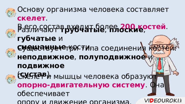 Основу организма человека составляет скелет . В его состав входит более 200 костей . Различают трубчатые , плоские , губчатые и смешанные кости. Существует три типа соединения костей: неподвижное , полуподвижное и подвижное ( сустав ). Скелет и мышцы человека образуют опорно-двигательную систему . Она обеспечивает опору и движение организма. 