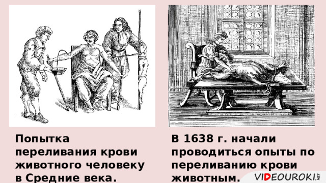 Попытка переливания крови животного человеку в Средние века. В 1638 г. начали проводиться опыты по переливанию крови животным. 
