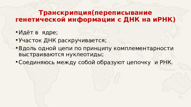 Транскрипция(переписывание генетической информации с ДНК на иРНК) Идёт в ядре; Участок ДНК раскручивается; Вдоль одной цепи по принципу комплементарности выстраиваются нуклеотиды; Соединяюсь между собой образуют цепочку и РНК. 