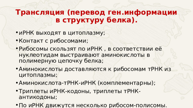 Трансляция (перевод ген.информации в структуру белка). иРНК выходят в цитоплазму; Контакт с рибосомами; Рибосомы скользят по иРНК , в соответствии её нуклеотидам выстраивают аминокислоты в полимерную цепочку белка; Аминокислоты доставляются к рибосомам тРНК из цитоплазмы; Аминокислота-тРНК-иРНК (комплементарны); Триплеты иРНК-кодоны, триплеты тРНК-антикодоны; По иРНК движутся несколько рибосом-полисомы. 