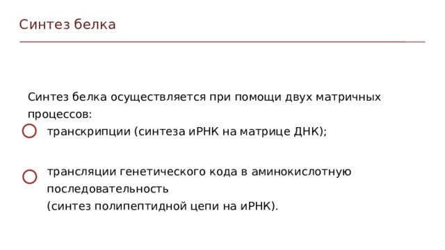 Синтез белка Синтез белка осуществляется при помощи двух матричных процессов: транскрипции (синтеза иРНК на матрице ДНК); трансляции генетического кода в аминокислотную последовательность (синтез полипептидной цепи на иРНК).  