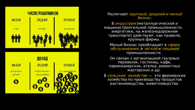 Различают крупный, средний и малый бизнес. В индустрии (металлургической и машиностроительной промышленности,   энергетике, на железнодорожном транспорте) действуют, как правило, крупные фирмы. Малый бизнес преобладает в сфере  обслуживания , в легкой и пищевой промышленности. Он связан с организацией грузовых перевозок, гостиниц, кафе, парикмахерских, ателье, ремонтных мастерских и др. В сельском  хозяйстве —  это фермерские хозяйства по производству продуктов растениеводства, животноводства. 