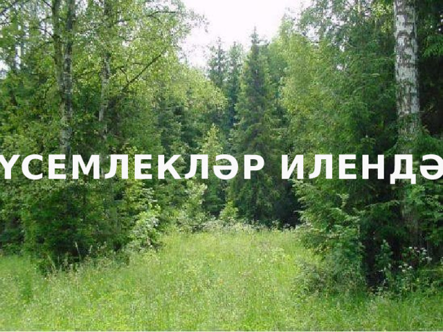 ҮСЕМЛЕКЛӘР ИЛЕНДӘ 