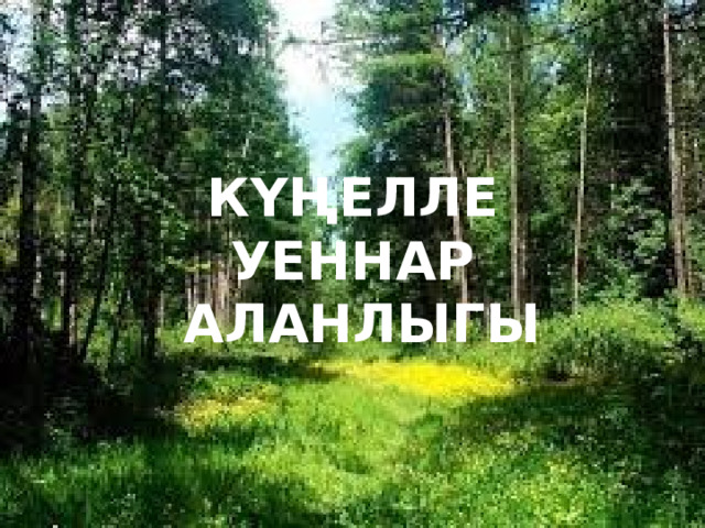 КҮҢЕЛЛЕ УЕННАР  АЛАНЛЫГЫ 