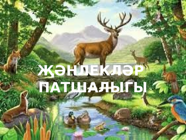 ҖӘНЛЕКЛӘР  ПАТШАЛЫГЫ 