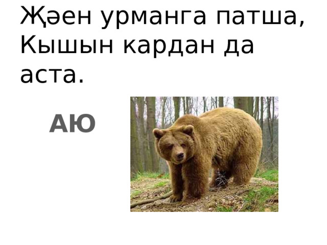 Җәен урманга патша,  Кышын кардан да аста. АЮ 