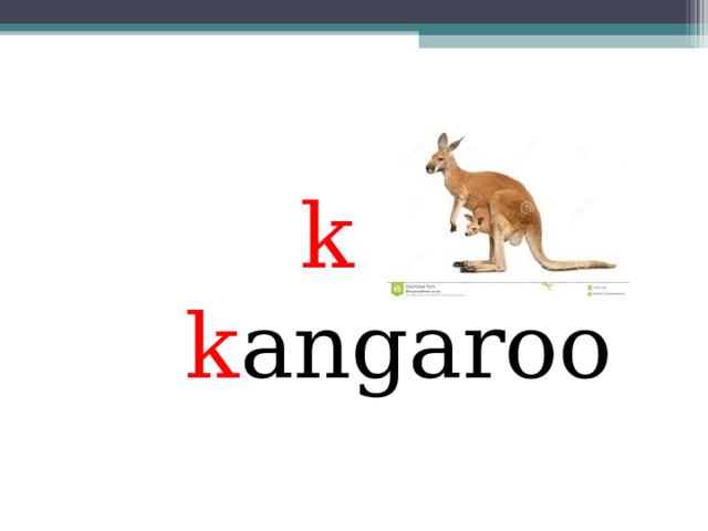  k   k angaroo 