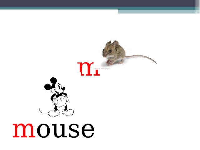 m   m ouse 