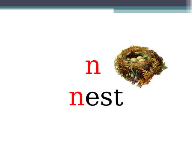  n  n est 