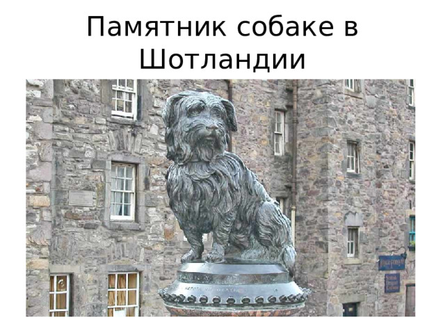 Памятник собаке в Шотландии 