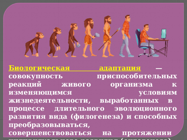 Биологическая адаптация  — совокупность приспособительных реакций живого организма к изменяющимся условиям жизнедеятельности, выработанных в процессе длительного эволюционного развития вида (филогенеза) и способных преобразовываться, совершенствоваться на протяжении индивидуального развития (онтогенеза). 