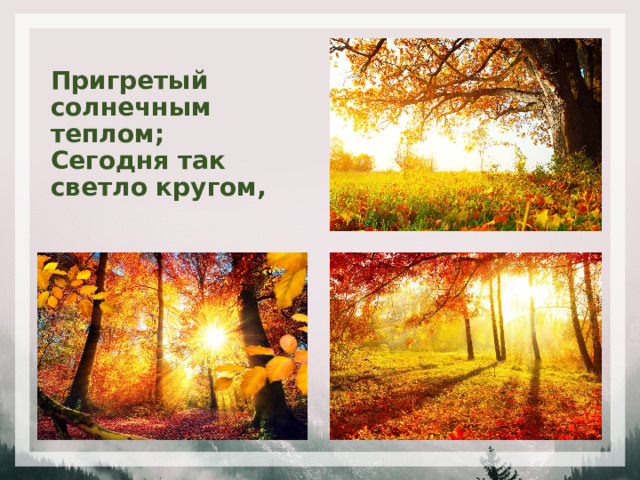 Пригретый солнечным теплом;  Сегодня так светло кругом, 