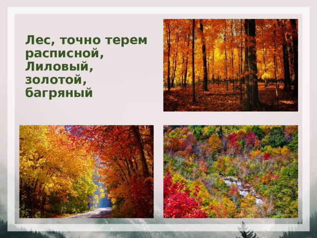 Лес, точно терем расписной,  Лиловый, золотой, багряный 