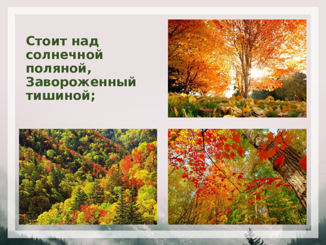 Стоит над солнечной поляной,  Завороженный тишиной; 
