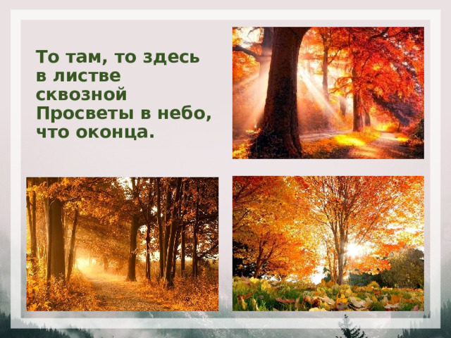 То там, то здесь в листве сквозной  Просветы в небо, что оконца. 