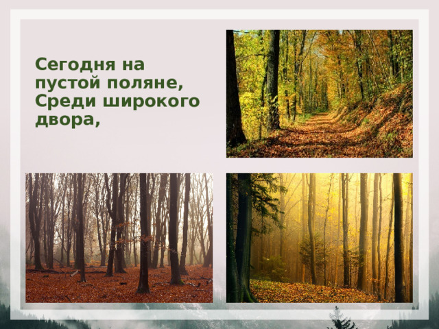 Сегодня на пустой поляне,  Среди широкого  двора, 