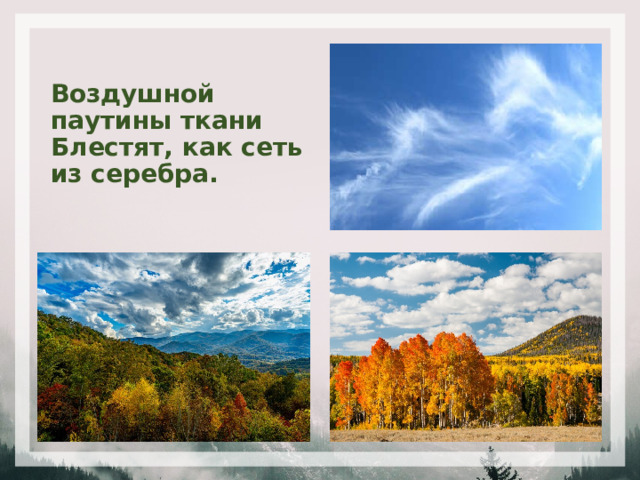 Воздушной паутины ткани  Блестят, как сеть из серебра. 