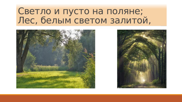 Светло и пусто на поляне;  Лес, белым светом залитой, 