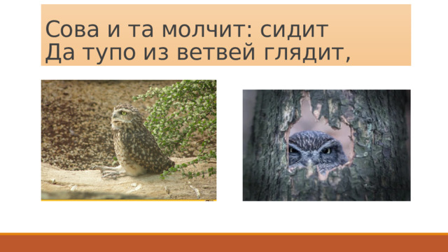 Сова и та молчит: сидит  Да тупо из ветвей глядит, 