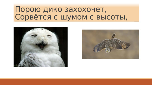 Порою дико захохочет,  Сорвётся с шумом с высоты, 