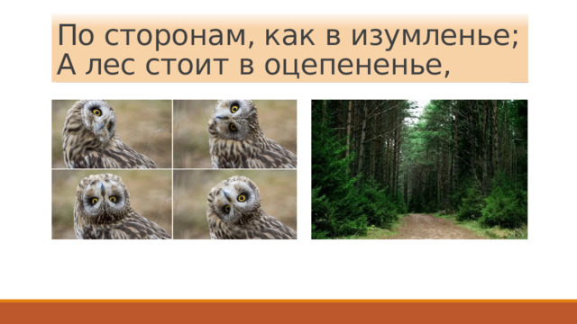 По сторонам, как в изумленье;  А лес стоит в оцепененье, 