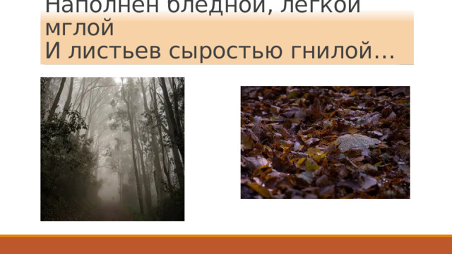 Наполнен бледной, легкой мглой  И листьев сыростью гнилой… 