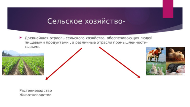 Технология сельскохозяйственного производства и земледелия 8 класс презентация