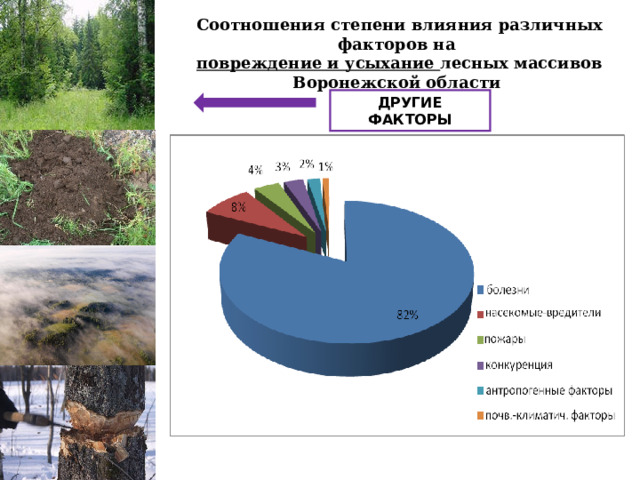 Соотношения степени влияния различных факторов на повреждение и усыхание лесных массивов Воронежской области ДРУГИЕ ФАКТОРЫ 